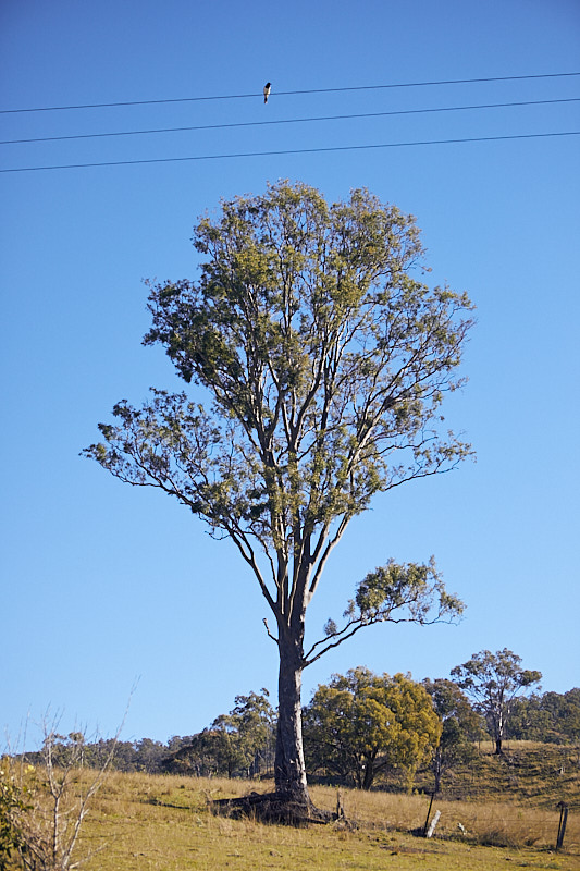 Stacks Image 18726